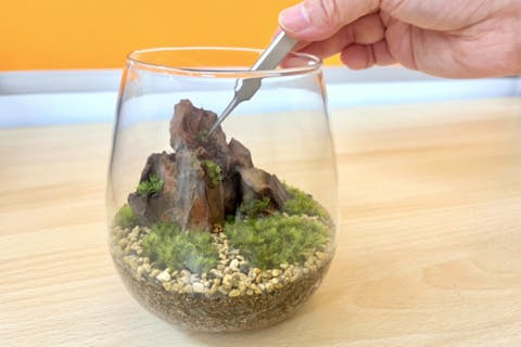 22年 東京 テラリウム 人気ランキング アソビュー