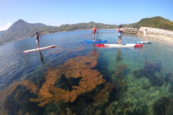 山口・周防大島・SUP】初心者やファミリーにおすすめ！SUPクルージング