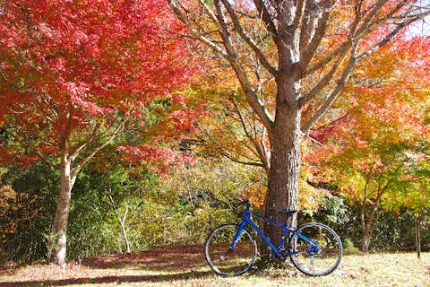 関東 レンタサイクルの遊び体験 アソビュー 休日の便利でお得な遊び予約サイト