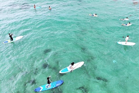 【山口・長門・SUP体験】透き通った海でゆったりサップ体験スクール