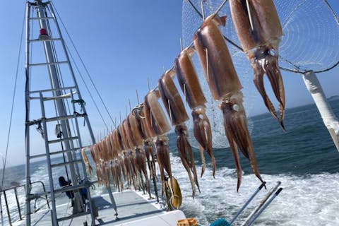 【千葉・鴨川・船釣り】午前船・スルメイカ釣り（又はヤリイカ釣り）
