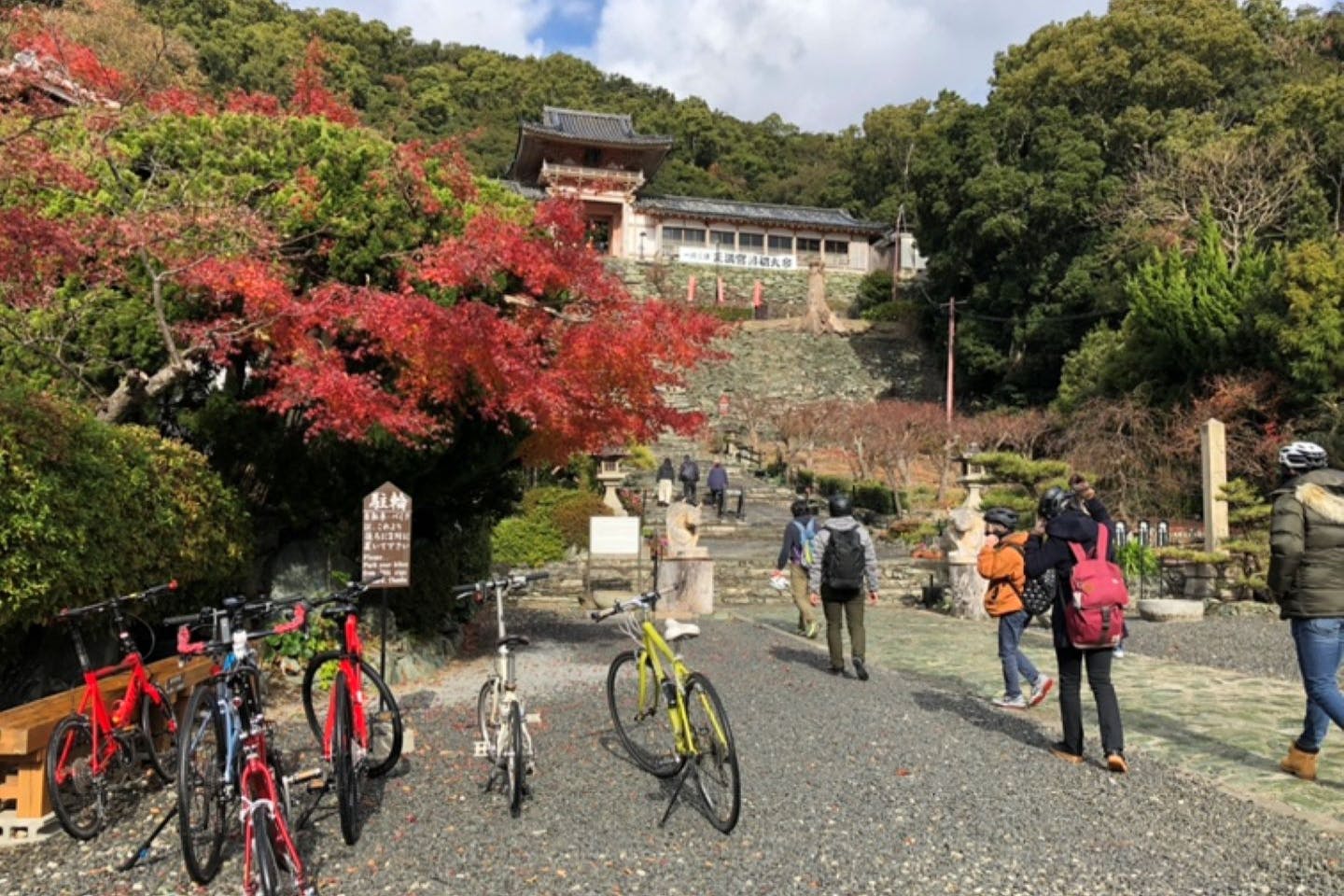 【和歌山・サイクリング】日本遺産・和歌浦まで自転車で快走！ガイド付き半日ツアー