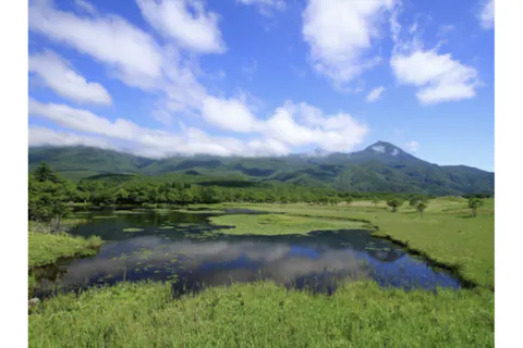 【北海道・知床・トレッキング】神秘的な五つの湖を満喫。知床五湖トレッキングツアー