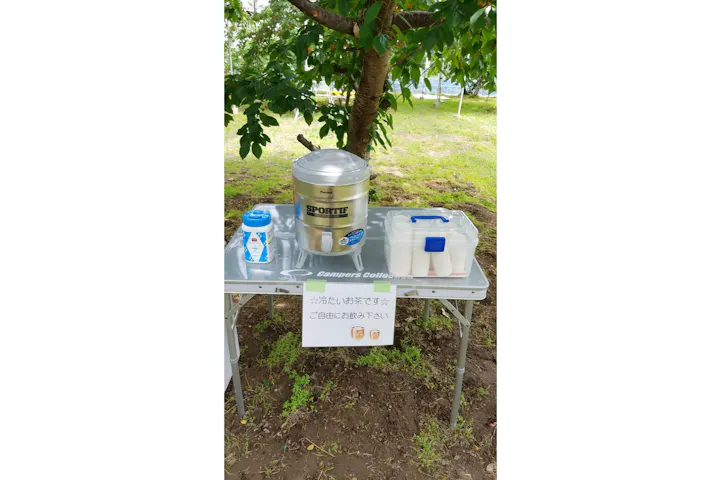 さくらんぼ狩り 浅川農園 ネット予約ならアソビュー