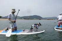 兵庫県のウォータースポーツ・マリンスポーツ おすすめランキング 兵庫県のウォータースポーツ・マリンスポーツ おすすめランキング