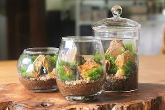 苔むすび｜ネット予約ならアソビュー！