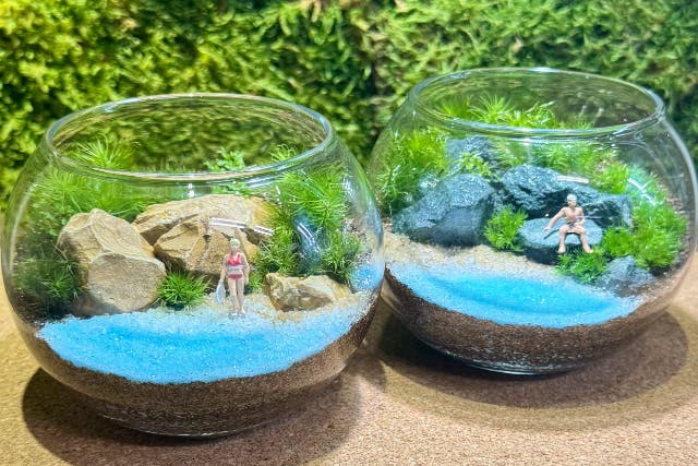 【神奈川・鎌倉・テラリウム】鎌倉の古民家で海の風景の苔テラリウムを作ろう（1個）