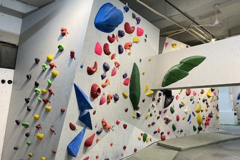 【愛知・名古屋・ボルダリング】初心者に最適！ボルダリング体験（土日祝2時間プラン）