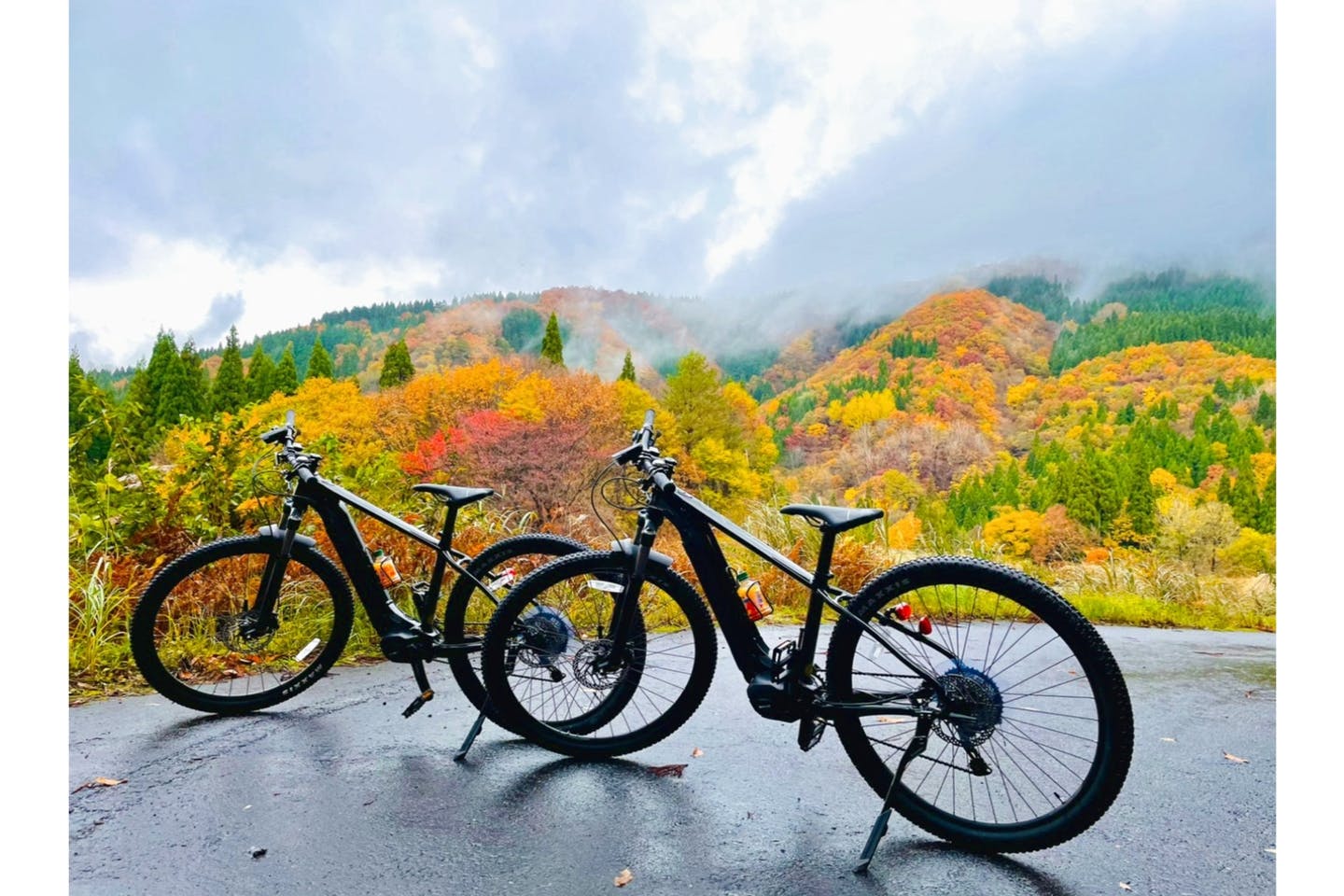 【鳥取・八頭郡・MTB】氷ノ山の自然を電動自転車で巡ろう！ガイド付きe-MTB周遊ツアー