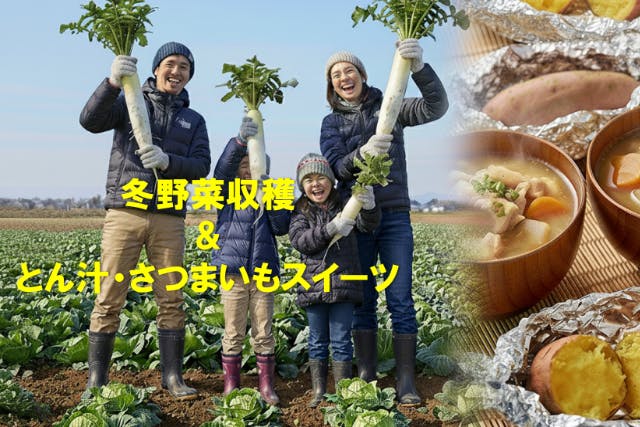 【埼玉県・さいたま市・農業体験】秋冬野菜の収穫＆とん汁・さつまいもスイーツ実食体験