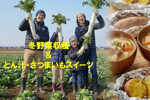 【埼玉県・さいたま市・農業体験】秋冬野菜の収穫＆とん汁・さつまいもスイーツ実食体験