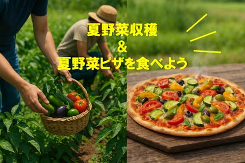 【埼玉県・さいたま市・農業体験】春夏野菜の収穫体験＆とれたて夏野菜ピザを食べよう！