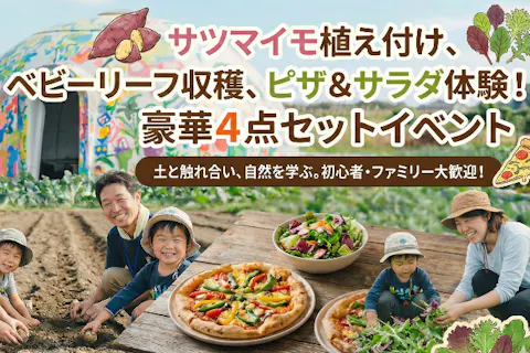 【埼玉県・さいたま市・農業体験】サツマイモ植付け・レタスベビーリーフ収穫＋野菜ピザ作り＆サラダ試食体験