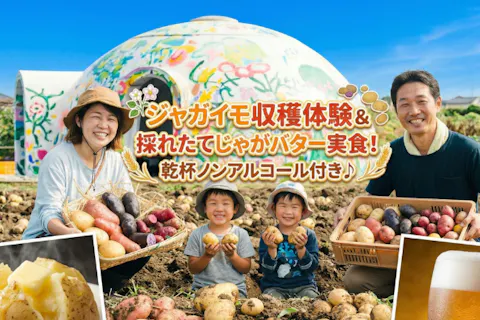 【埼玉×農業体験】ジャガイモ収穫体験＆採れたてじゃがバター実食！ノンアルコール付き