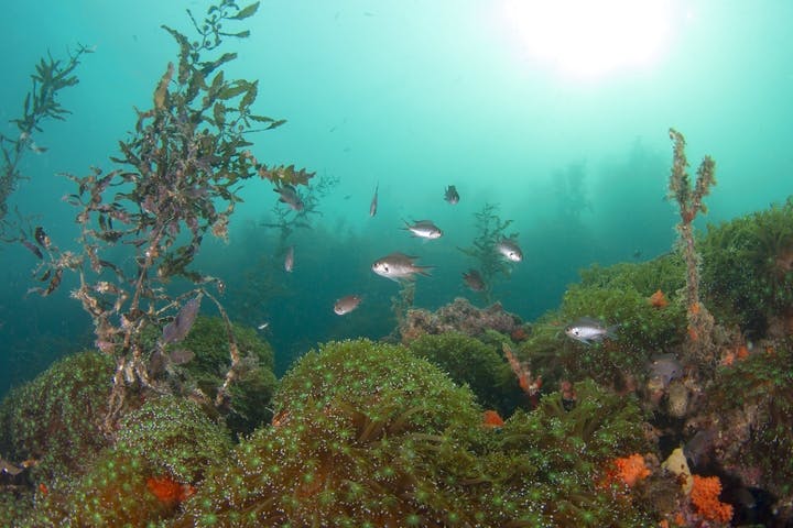 LOVE&BLUE（ラブアンドブルー）