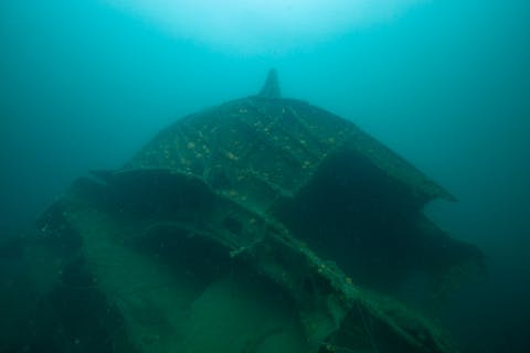【山口・柳井・ファンダイビング】ライセンス保持者限定！日本海軍の沈没した戦艦を見に行こう！《アソビュー！特別プラン・インストラクター貸切》