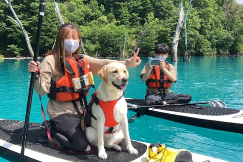 【岐阜・白川郷・SUP】あなたの家族”ワンちゃん”と一緒にエメラルドグリーンの湖へ！プライベートなワンコSUP体験