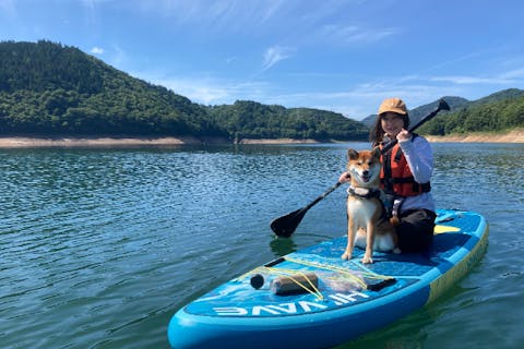 【岐阜・白川郷・SUP】”ワンちゃん”と一緒に飛騨地方最大の御母衣湖SUP（150分）1日1組限定のプライベートツアー