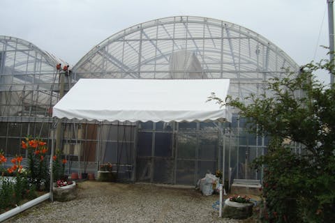 【愛知・知多・ブルーべリー狩り】1時間の食べ放題プラン！ハウスブルーベリー狩り