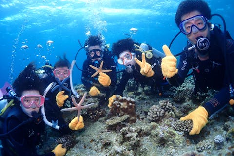 【沖縄・那覇・体験ダイビング】沖縄満喫セットプラン！体験ダイビング＆シュノーケル