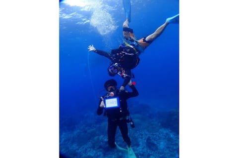 【沖縄・那覇・ファンダイビング】慶良間の美しい海をご案内！ファンダイビングプラン