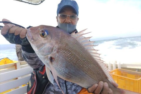 関西海釣り 船釣り体験 料金比較 予約 アソビュー