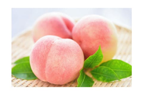 桃狩り体験一覧 比較 予約 食べ放題 時期 持ち物情報 アソビュー 桃狩り体験一覧 比較 予約 食べ放題 時期 持ち物情報 アソビュー