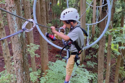 【兵庫・養父・アスレチック】スリル満点 森林アスレチックパーク！アルプスアドベンチャー