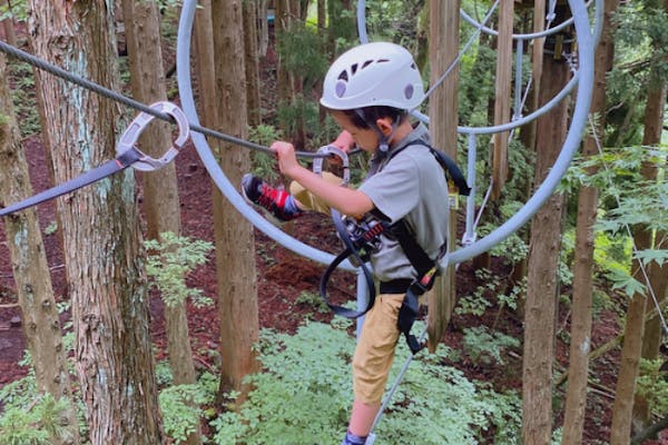 あばらやとアルプス 安達ヶ原 adidas ZX 8000 Light Aqua for Sale | Authenticity Guaranteed