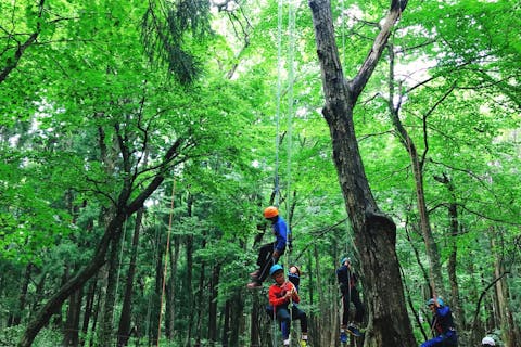 ツリークライミング体験 木登り の比較 予約 アソビュー
