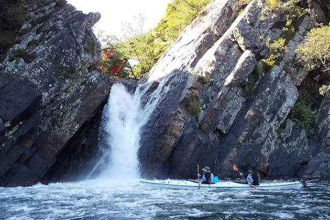 【鹿児島・屋久島・シーカヤック】空き時間に手軽に大自然を堪能！シーカヤック体験