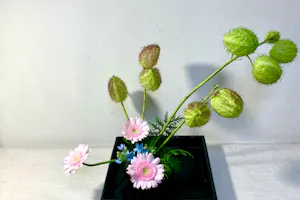 東京・新宿・生け花教室】気軽に季節のお花でにいけばな体験を楽しもう
