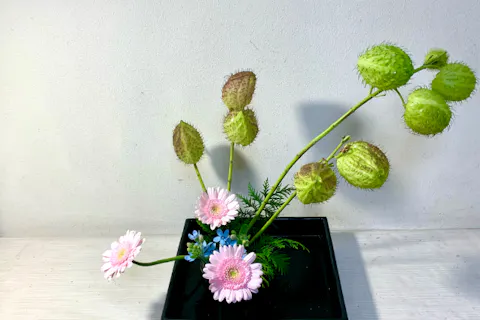 【東京・新宿・生け花教室】気軽に季節のお花でにいけばな体験を楽しもう