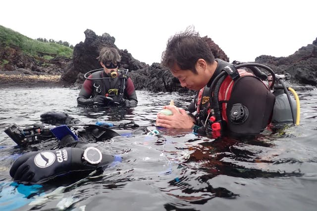 レスキューダイバーコース　自立したダイバーへの第一歩