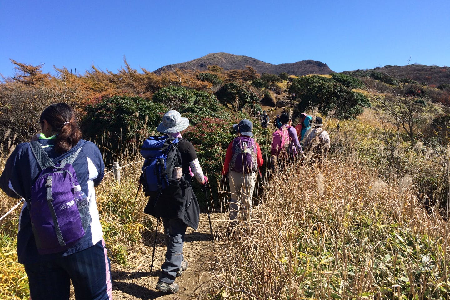 【福岡・筑紫野・ハイキング】登山歴50年超！名物ガイドと福岡の山々を歩こう
