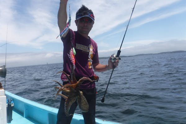 アテネ書房　釣心魚心　釣の裏の手　釣の本　釣ざんまい　露伴釣談　釣師気質　釣魚譜 アテネ書房 釣心魚心 釣の裏の手 釣の本 釣ざんまい 露伴釣談 釣