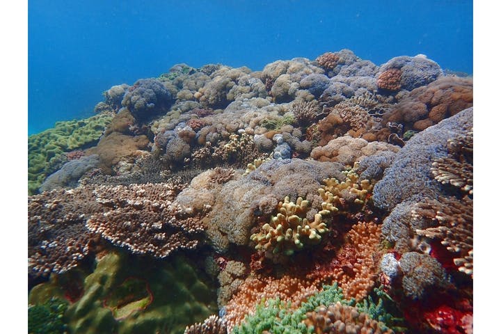 Lulu Sun（ルル サン）