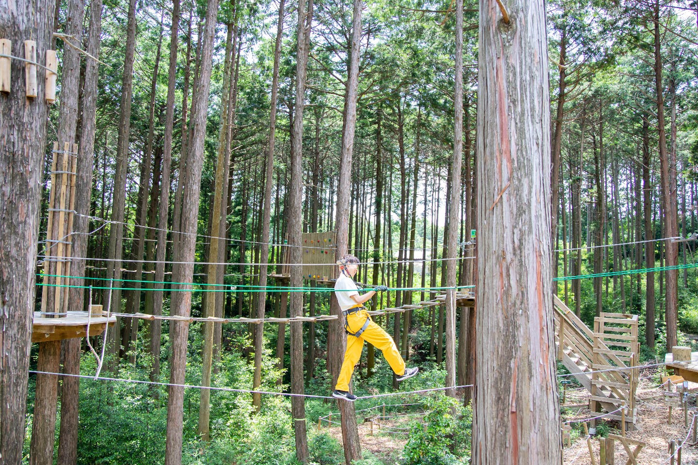 三重 湯の山 フォレストアドベンチャー スリル満点の体験 森の空中を渡るフォレストアドベンチャー アソビュー