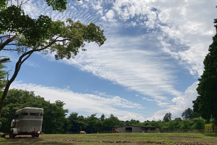 HORSE BASE（ホース ベース）