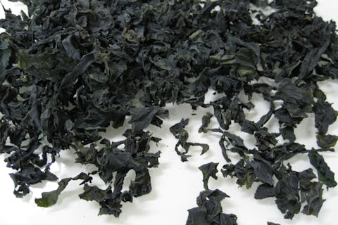 【三重・松阪・お土産屋】10％OFFクーポン＆お土産付き！乾燥ワカメ詰め放題体験