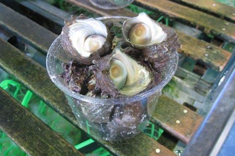 【三重・伊勢・お土産屋】店内で使える10％OFFクーポン付き！サザエ詰め放題体験