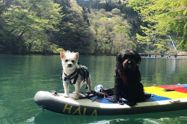 MACKEY'S（マッキィズ）｜ネット予約ならアソビュー！