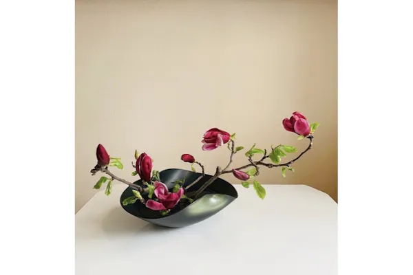 立花資料集成 影印資料篇 　上中下巻セット　（りっか・生花・いけばな・華道） 立花資料集成 影印資料篇 上中下巻 / 小雨堂 / 古本、中古本、古書籍の