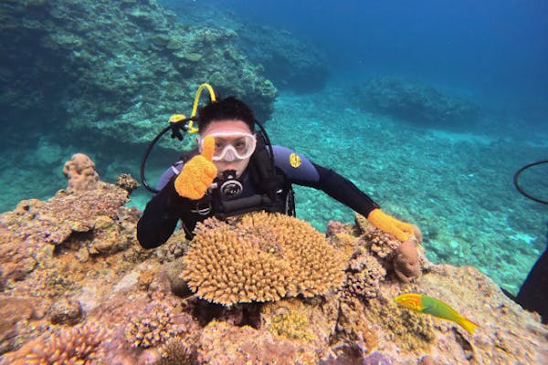 沖縄アクアマリン｜ネット予約ならアソビュー！