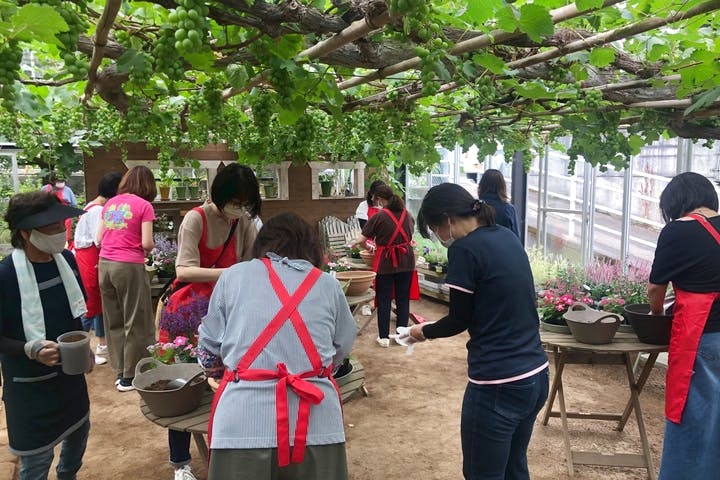 オズ・ガーデン