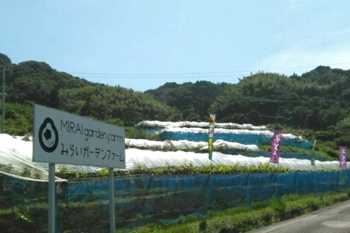みらいガーデンファーム