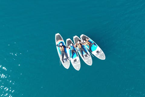 【北海道・支笏湖・サップ】透明度トップクラスの湖で特別なレイクサップ体験・秋は紅葉狩りも♪・写真は無料プレゼント・カップルからファミリーまで・口コミ高評価多数♪