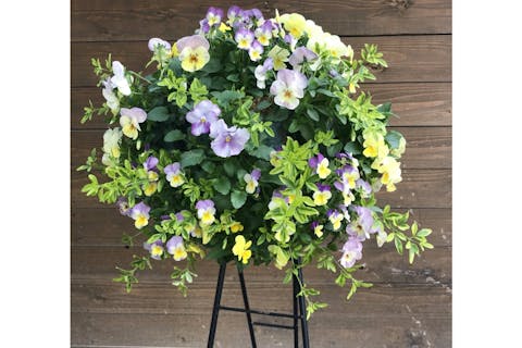 【鳥取・八頭町・ガーデニング】生活にパッと華やかな彩りを！季節のハンギングバスケット作り