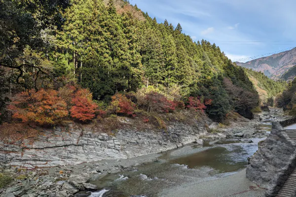 香川/徳島】琴平発⇔祖谷渓谷・大歩危シャトルバス｜アソビュー！