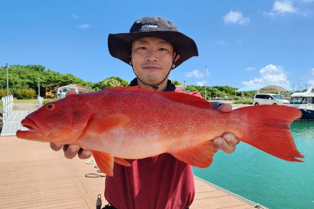 【沖縄・石垣・船釣り】沖縄の海で気ままに釣りを満喫しよう！半日チャータープラン